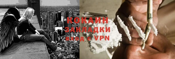 шишки Снежногорск