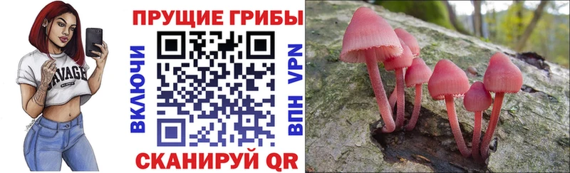 Галлюциногенные грибы мухоморы  Кропоткин 